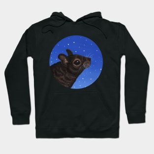 Degu in the Snow Hoodie